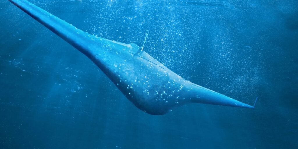 Silenzioso e letale: Manta Ray, il nuovo drone sottomarino del Pentagono Futuro Prossimo