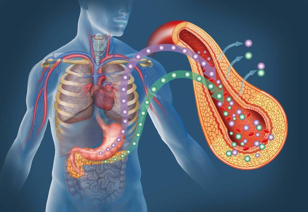 Diabete, la cura sulla punta della lingua. La chiave è il recettore del dolce? Futuro Prossimo