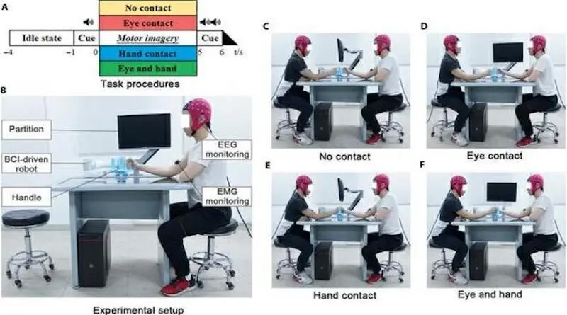 Rivoluzionaria tecnologia cervello-cervello potenzia una interfaccia neurale Futuro Prossimo