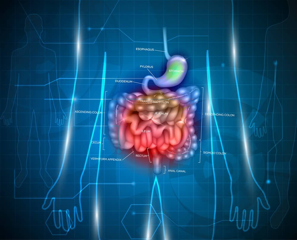 Svolta per il Morbo di Crohn: scoperta la causa nel “deserto genetico” Futuro Prossimo