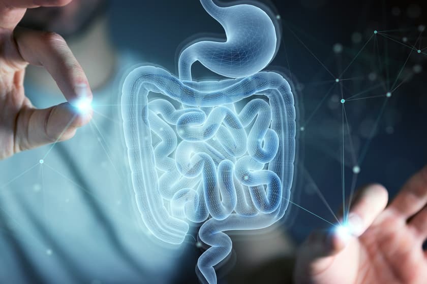 “Mappa e Capisci”: una pillola high-tech esplora il microbioma dell’intestino Futuro Prossimo