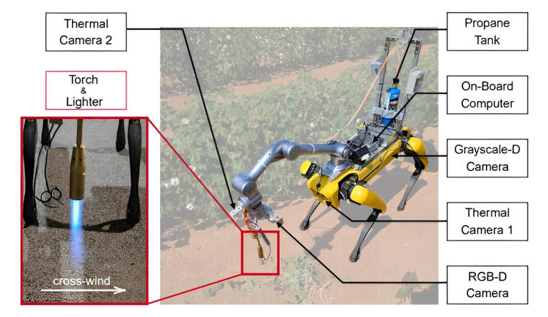 Agricoltura di precisione, robot lanciafiamme contro le erbacce infestanti Futuro Prossimo