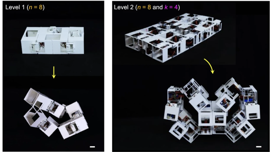 L’incredibile robot origami che assume 1000 forme diverse Futuro Prossimo