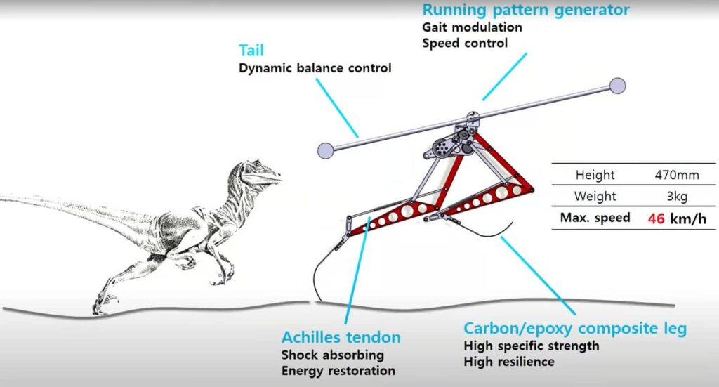 Se il robot diventa un velocista: al KAIST, Raptor va a 46km/h Futuro Prossimo