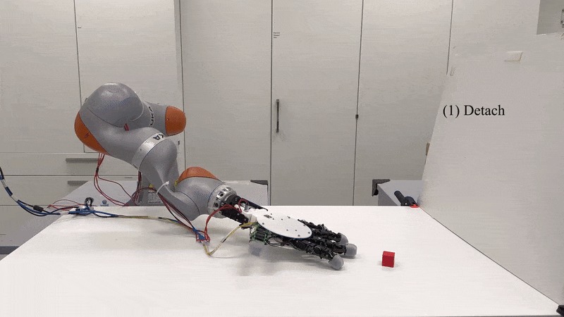 Altro che Addams: la mano robotica dell’EPFL si muove da sola Futuro Prossimo