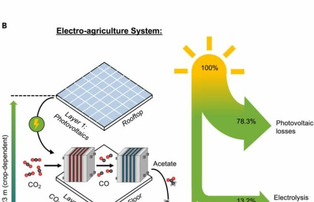 L’agricoltura 2.0 è al buio: svolta agricola dalla bioingegneria Futuro Prossimo