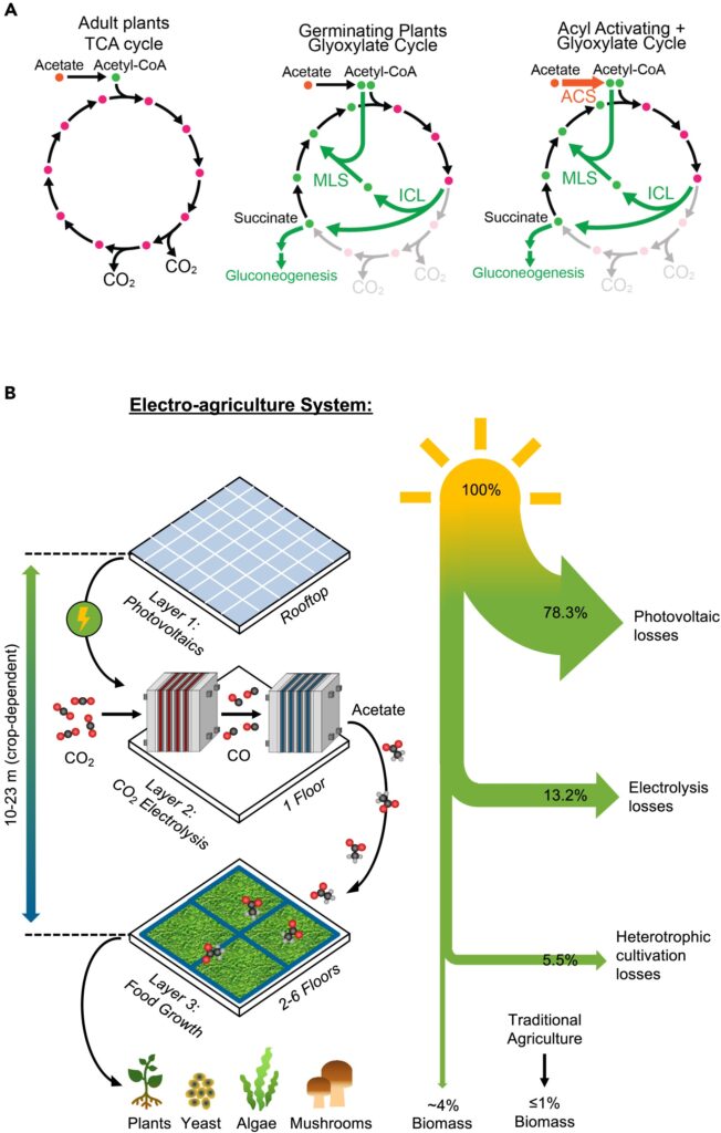 L’agricoltura 2.0 è al buio: svolta agricola dalla bioingegneria Futuro Prossimo