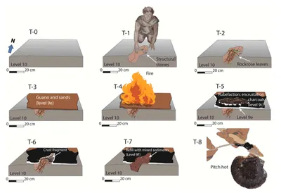 Un antico forno svela le abilità chimiche dei Neanderthal Futuro Prossimo