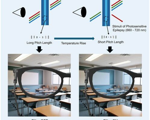 Epilessia fotosensibile, nuove lenti smart bloccano le crisi Futuro Prossimo