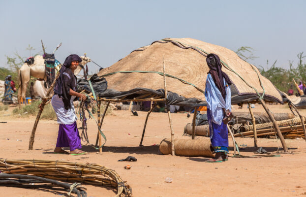 Sahel, il futuro è antico: la saggezza annienta la desertificazione Futuro Prossimo