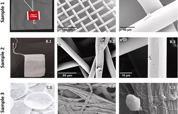 Microplastiche in ogni sorso: il lato oscuro delle bustine di tè Futuro Prossimo