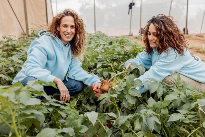 Biotecnologia, proteine delle uova dalle patate Futuro Prossimo